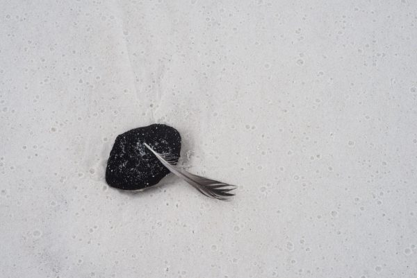 "Intimate" a limited edition print by photographer Aranka Israni captures a feather lying on a rock in the sand. Alys Beach, Florida.